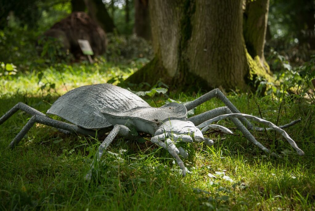 Investigate and explore, take park in the Brilliant Bug Farm Trail at Fordhall Organic Farm