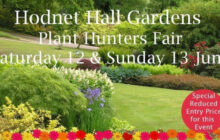 Hodnet Gardens