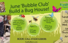 Bug House