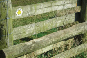 Hodnet Footpath