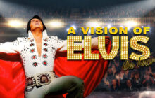 A Vision Of Elvis