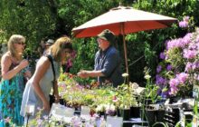 Plant Hunters' Fair