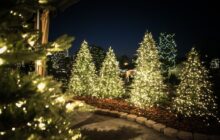 Christmas In Ashley