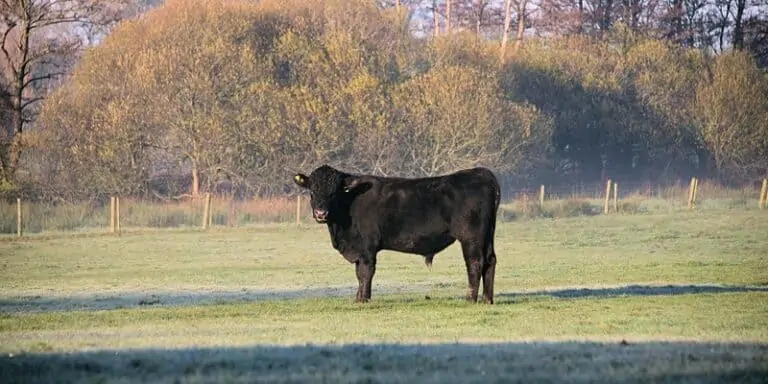 Your Farming Future