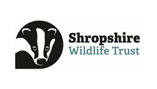Shropshire Wildlife